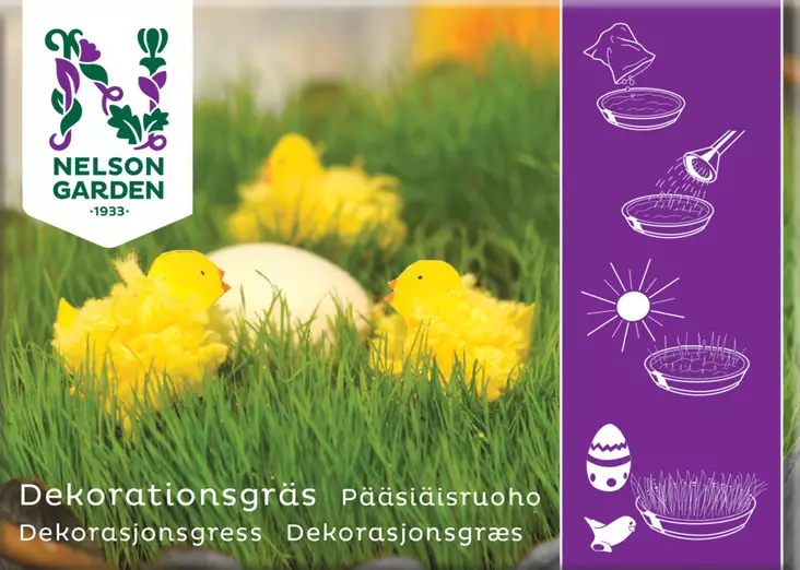 Pääsiäisruoho - Vihannesten ja yrttien siemenet - 7312600052673 - 1