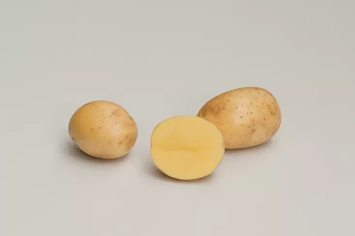 Peruna Gala 1 kg 30-55 mm - Siemenet ja sipulit - 6417486005193 - 1