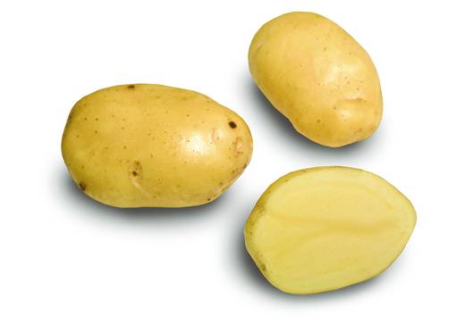 Peruna Siikli 1 kg 35-50 mm - Siemenet ja sipulit - 6417486003663 - 1