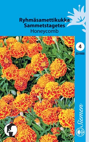 Ryhmäsamettikukka Honeycomb - Kukkien ja koristeheinien siemenet - 6415152315003 - 1