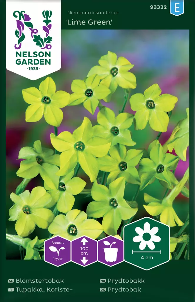 Tupakka, Koriste-, Lime Green - Kukkien ja koristeheinien siemenet - 7312600933323 - 0