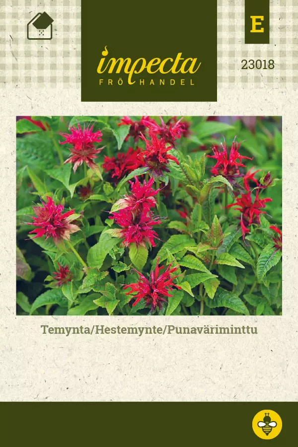 Punaväriminttu - Kukkien ja koristeheinien siemenet - 7332756230183 - 1