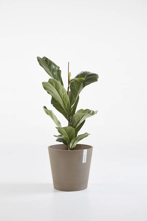 Ecopots Ruukku Venice taupe - Istutusruukut - 800283 - 3