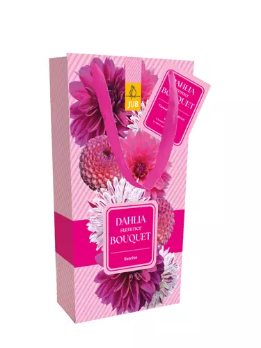 Daalia Sunrise 4 kpl/pkt - Daaliat - 8712438991493 - 1