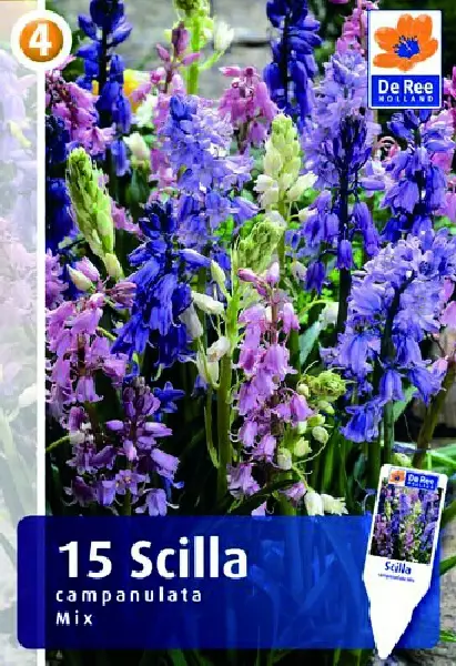 Espanjansinililja mix 15 kpl/pkt - Liljat - 8711148315643 - 1