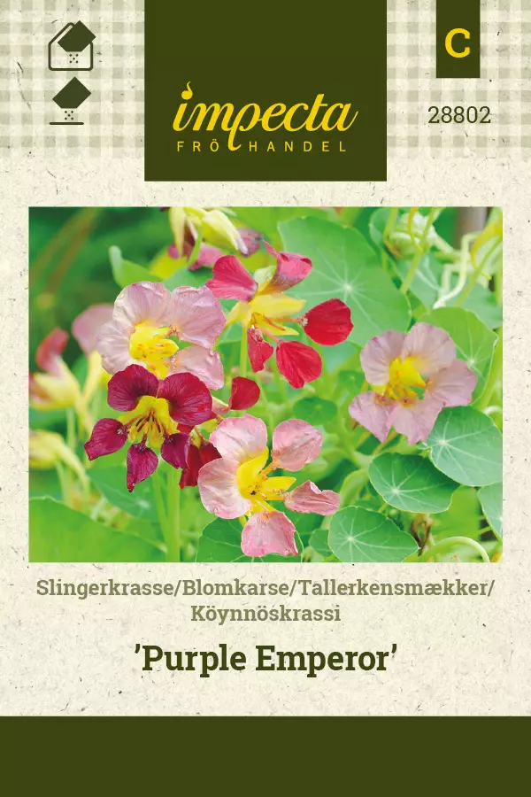 Köynnöskrassi Purple Emperor - Kukkien ja koristeheinien siemenet - 7332756288023 - 0