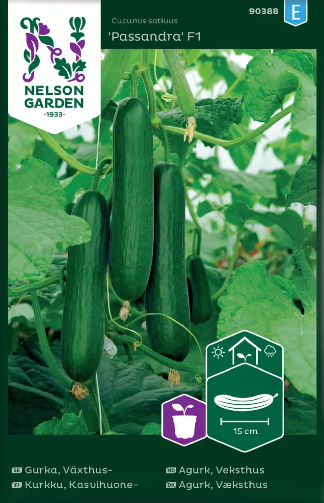 Kurkku, Kasvihuone-, Passandra F1 - Vihannesten ja yrttien siemenet - 7312600903883 - 0