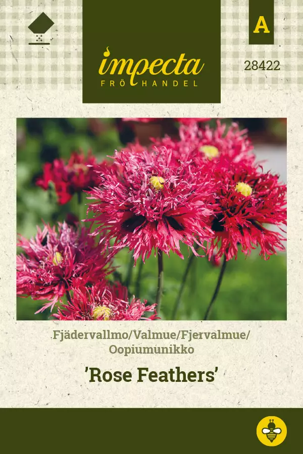 Oopiumunikko Rose Feathers - Kukkien ja koristeheinien siemenet - 7332756284223 - 0