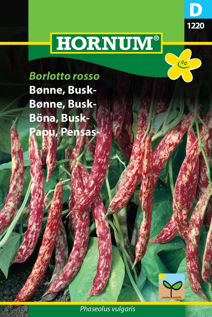 Papu, Pensas- Borlotto Rosso - Vihannesten ja yrttien siemenet - 5708787012203 - 0