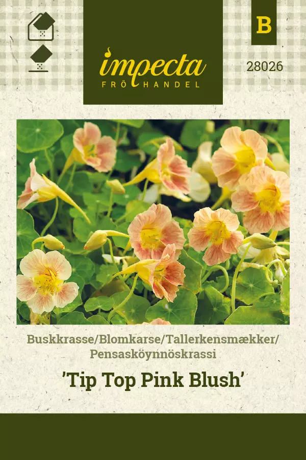 Pensasköynnöskrassi Tip Top Pink Blush - Kukkien ja koristeheinien siemenet - 7332756280263 - 0