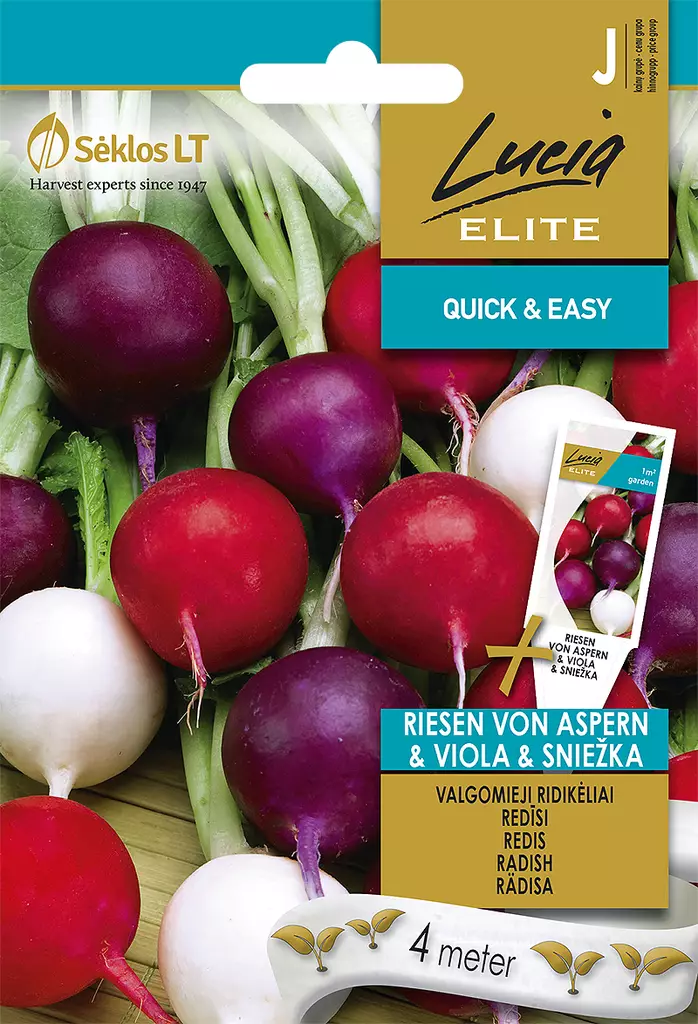 RETIISI ELITE VON ASPERN * VIOLA * SNIEZ - Vihannesten ja yrttien siemenet - 4770168136953 - 0