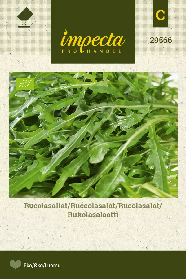 Rukolasalaatti - Vihannesten ja yrttien siemenet - 7332756295663 - 0