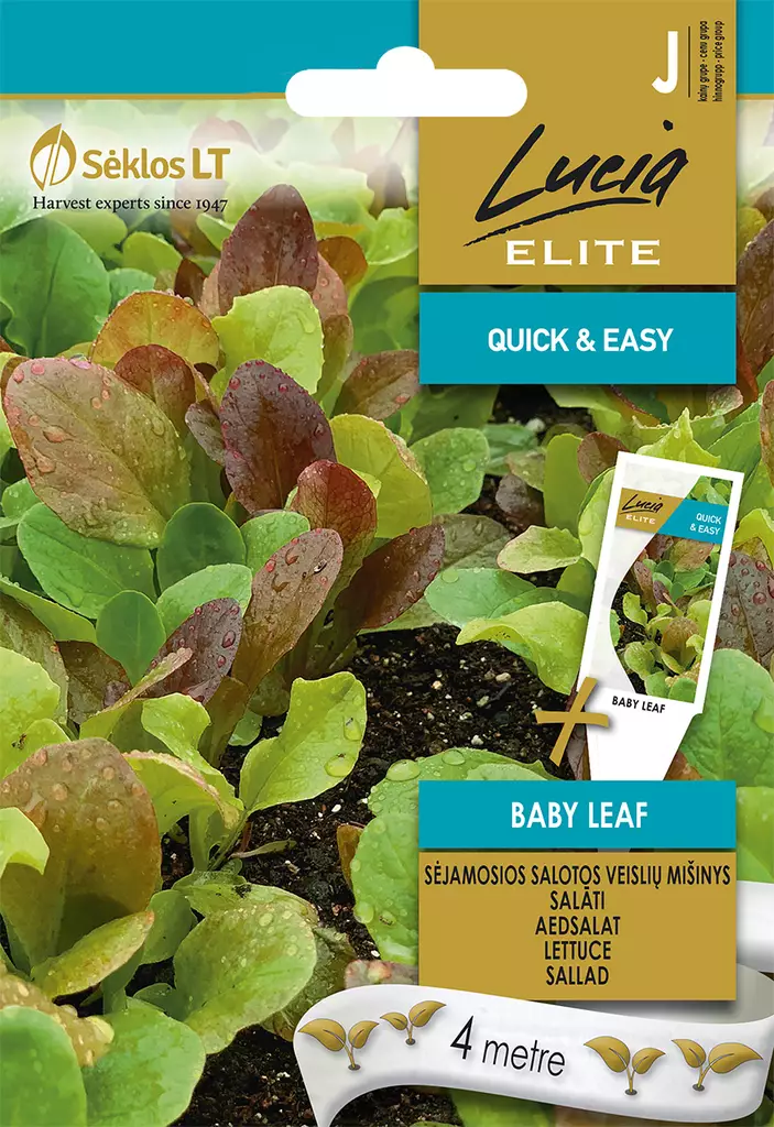 SALAATTI, BABY LEAF, SIEMENNAUHA - Vihannesten ja yrttien siemenet - 4770168142343 - 0