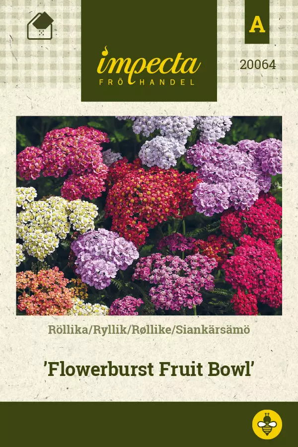 Siankärsämö Flowerburst Fruit Bowl - Kukkien ja koristeheinien siemenet - 7332756200643 - 0