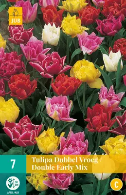 Tulppaani Double Early mix 7 kpl/pkt - Kukkasipulit - 8712438502903 - 1