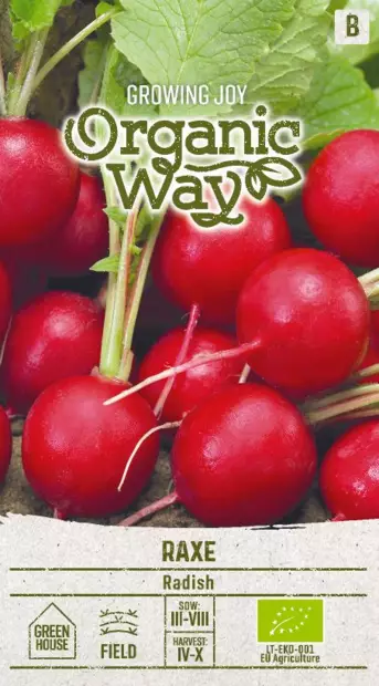 RETIISI OG RAXE - Vihannesten ja yrttien siemenet - 4770168151604 - 0