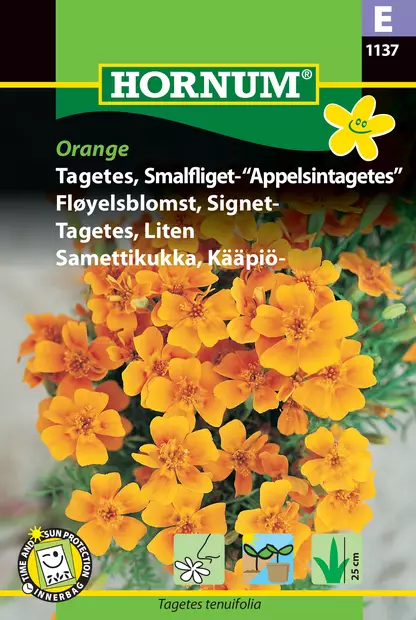 Samettikukka, Kääpiö- Orange - Vihannesten ja yrttien siemenet - 5708787011374 - 0