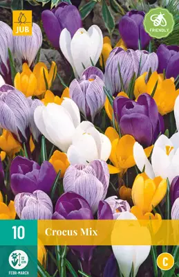 Krookus Large Flowering mix 10 kpl/pkt - Sahramit eli krookukset - 8712438515354 - 2