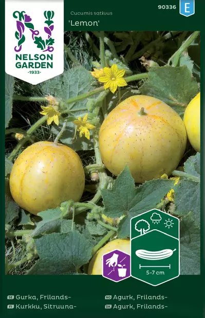 Kurkku, Sitruuna-, Lemon - Vihannesten ja yrttien siemenet - 7312600903364 - 0