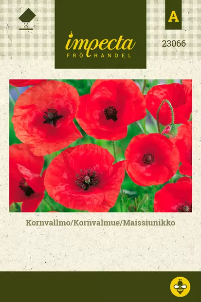 Maissiunikko - Kukkien ja koristeheinien siemenet - 7332756230664 - 0