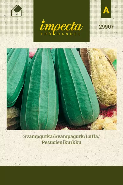 Pesusienikurkku - Kukkien ja koristeheinien siemenet - 7332756299074 - 1