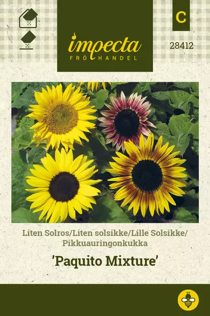 Pikkuauringonkukka Paquito Mixture - Kukkien ja koristeheinien siemenet - 7332756284124 - 0
