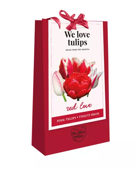 Tulppaanikassi Red Love 20kpl/pkt - Tulppaanit - 8712438754234 - 1