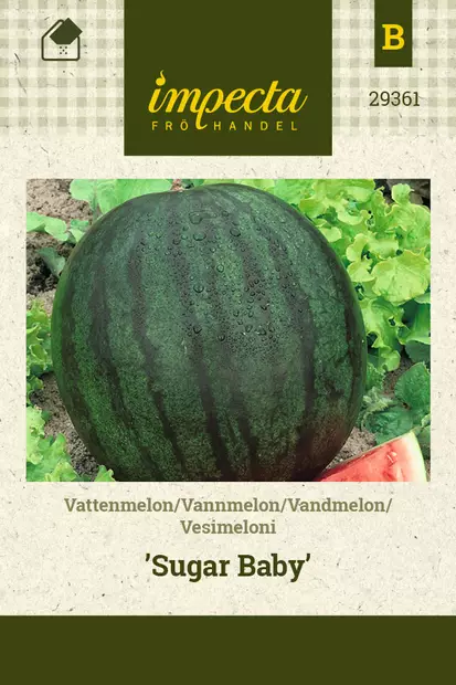 Vesimeloni Sugar Baby - Vihannesten ja yrttien siemenet - 7332756293614 - 0