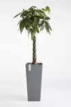 Ecopots Ruukku Rotterdam High 70 cm - Ecopots ruukut ja lautaset - 5411942747604 - 4