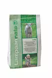 Lampaannata Nordic 1 kg - Nurmikon siemenet - 6415152702094 - 2