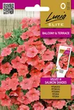 PETUNIA (SURFINIA) ELITE VELVET H SALMON - Kukkien ja koristeheinien siemenet - 4770168920514 - 0