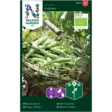 Papu, Härkä-, Express, Organic - Vihannesten ja yrttien siemenet - 7312600901414 - 1