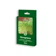 SINAPPIKAALI Microgreens - Kukkien ja koristeheinien siemenet - 4770168921184 - 0