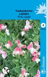 Tuoksuherne Pink Cupid annos - Kukkien ja koristeheinien siemenet - 6415152015804 - 1