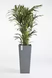 Ecopots Ruukku Rotterdam High 70 cm - Ecopots ruukut ja lautaset - 5411942747604 - 3