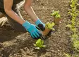 Gardena Istutuskäsineet koko L - Puutarhahanskat - 4078500051774 - 1