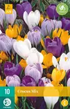 Krookus Large Flowering mix 10 kpl/pkt - Sahramit eli krookukset - 8712438515354 - 2