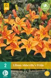 Lilja Abbesvilles Pride 2 kpl/pkt - Liljat - 8712438991714 - 3