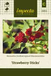 Marjasavikka Strawberry Sticks - Kukkien ja koristeheinien siemenet - 7332756298114 - 0