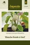 Munakoiso Blanche Ronde à Oeuf - Vihannesten ja yrttien siemenet - 7332756279304 - 0