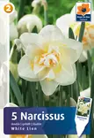 Narsissi White Lion 5 kpl/pkt - Narsissit - 8711148314554 - 1