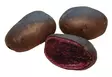 Peruna Blue Congo 1 kg 30-55 mm - Siemenet ja sipulit - 6417486003694 - 2