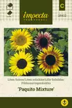Pikkuauringonkukka Paquito Mixture - Kukkien ja koristeheinien siemenet - 7332756284124 - 0