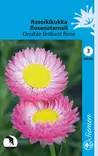 Rusoikikukka Double Brilliant Rose - Kukkien ja koristeheinien siemenet - 6415151951004 - 2