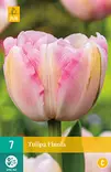 Tulppaani Finola 7 kpl/pkt - Tulppaanit - 8712438982514 - 2