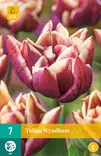 Tulppaani Wyndham 7 kpl/pkt - Tulppaanit - 8712438975004 - 1