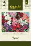 Tuoksuherne Royal - Kukkien ja koristeheinien siemenet - 7332756284704 - 0