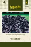 Veripeippi Röd Shiso - Vihannesten ja yrttien siemenet - 7332756295854 - 0
