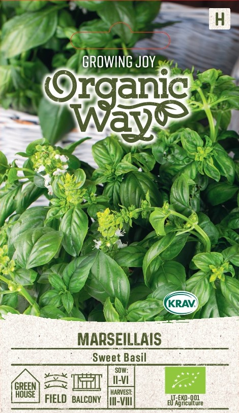 BASILIKA OG ELITE MARSEILLAIS - Vihannesten ja yrttien siemenet - 4770168917484 - 0