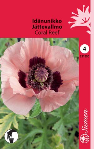 Idänunikko Coral Reef - Kukkien ja koristeheinien siemenet - 6415152115504 - 1